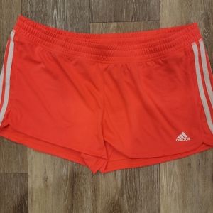 XL Hot pink Adidas 3" shorts
